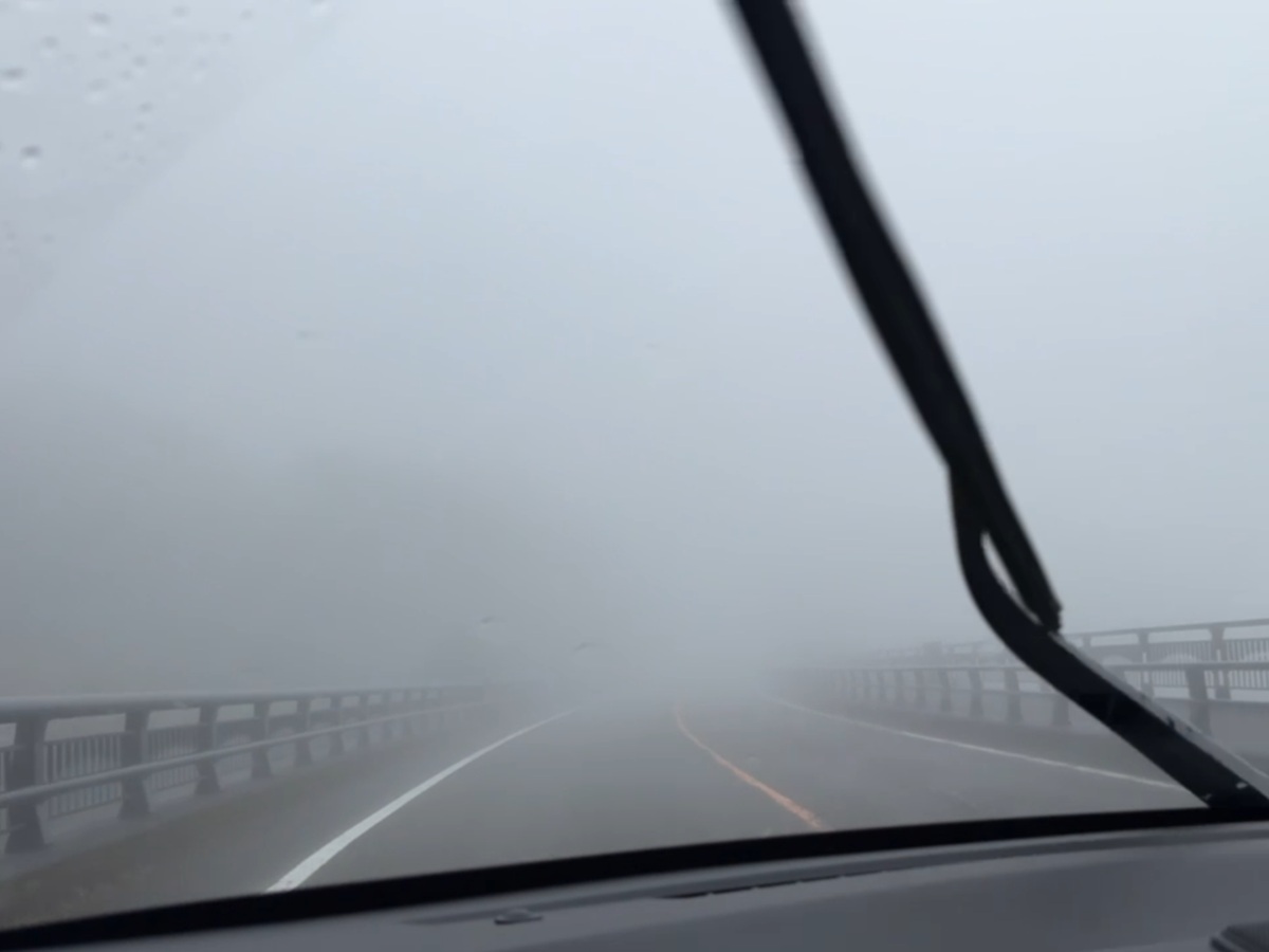 dense fog No-2