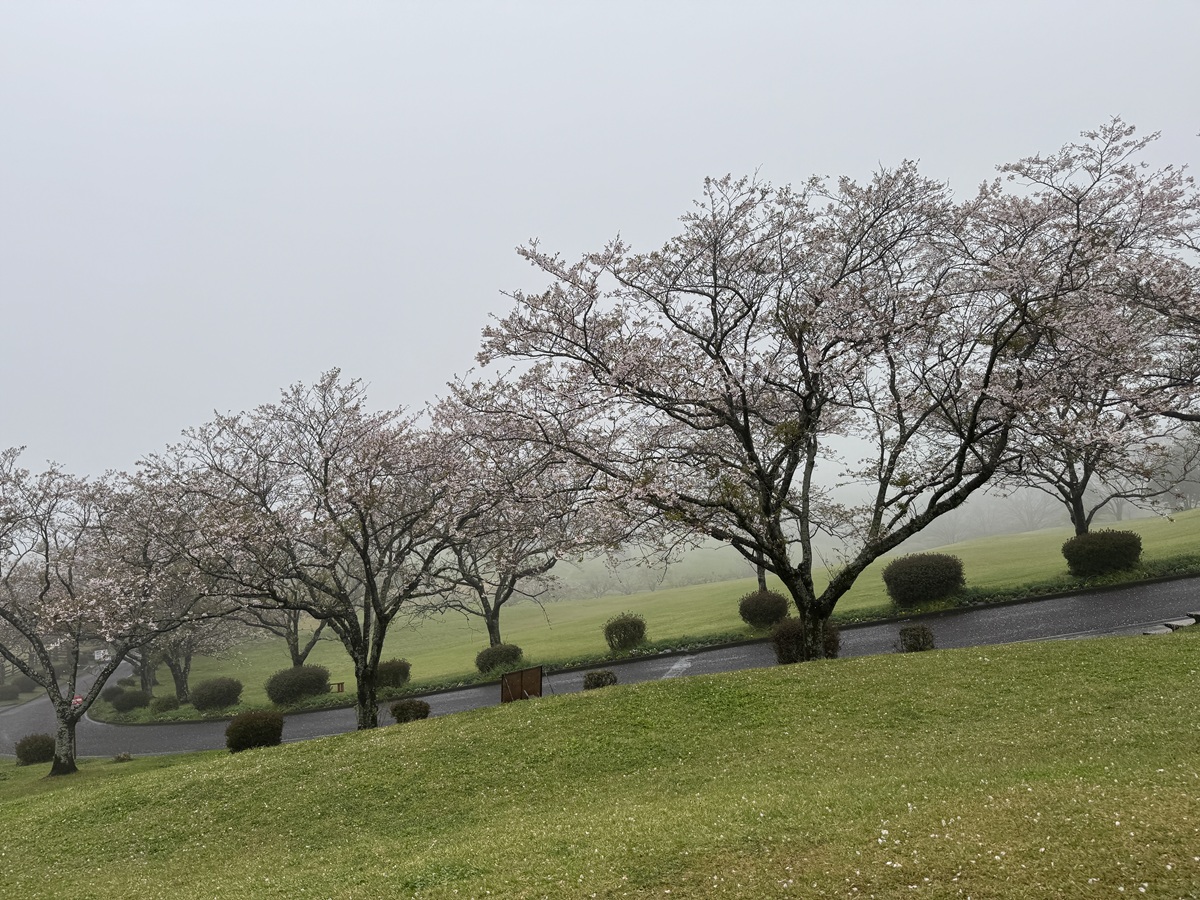 Takachiho Farm No-5