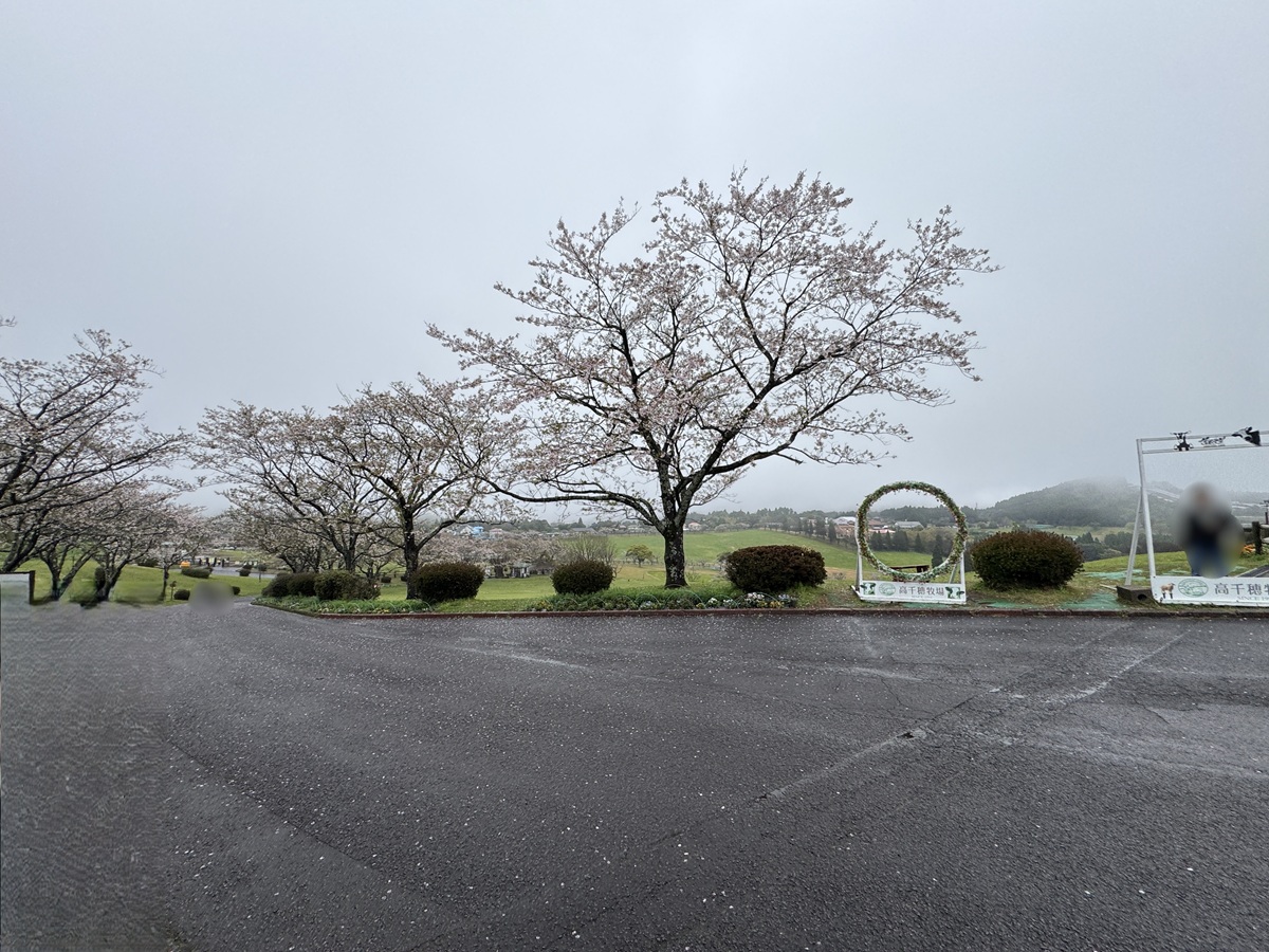 Takachiho Farm   No-1