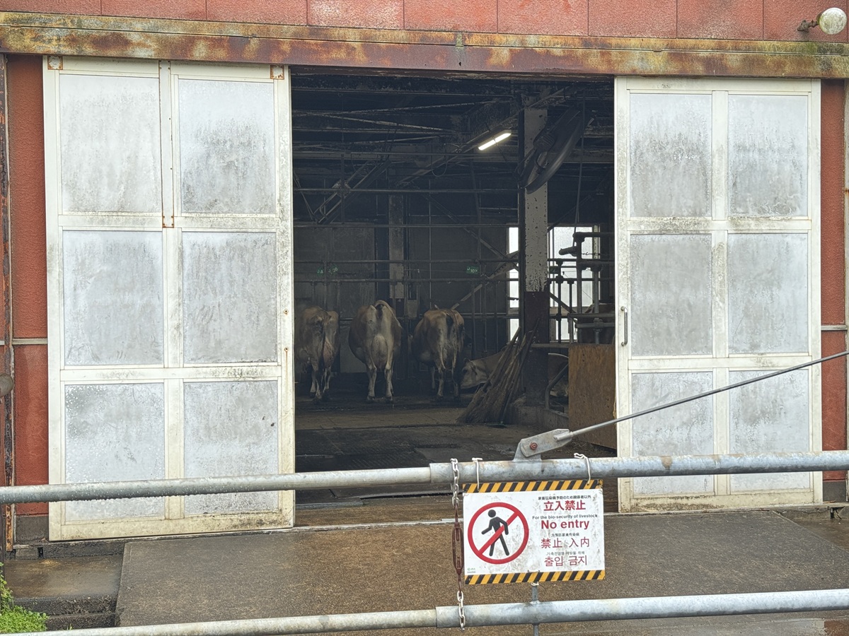 Takachiho Farm   No-12