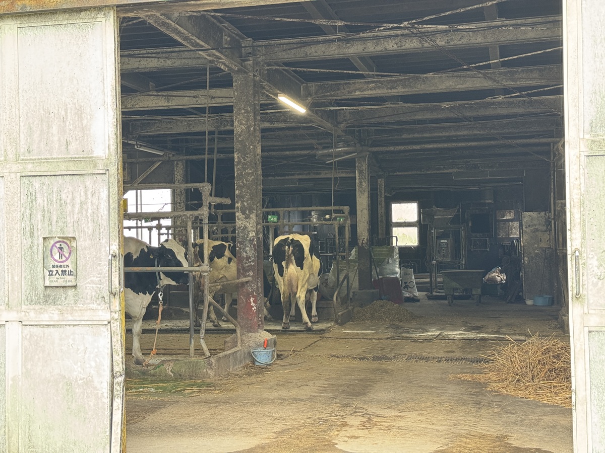 Takachiho Farm   No-13