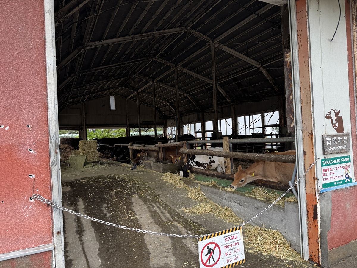 Takachiho Farm   No-14