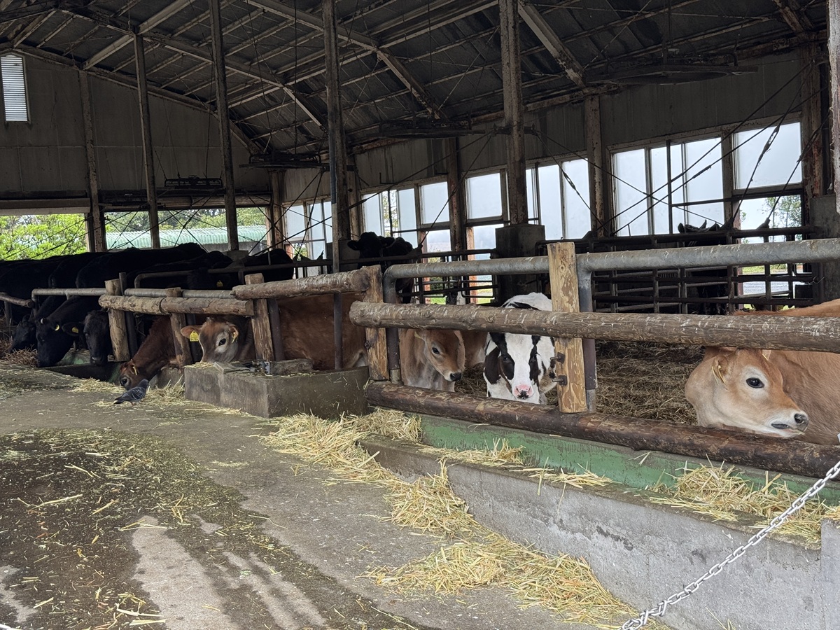 Takachiho Farm   No-15