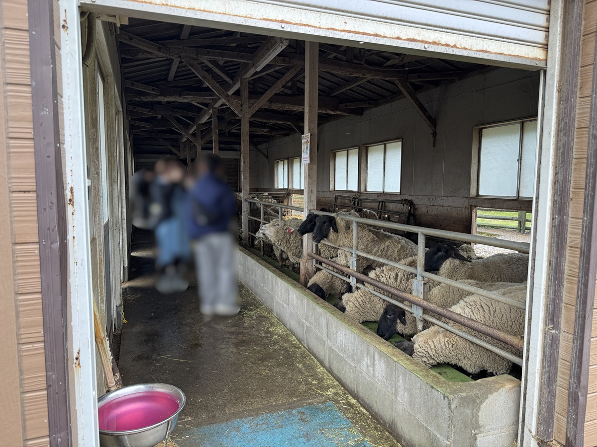 Takachiho Farm   No-18
