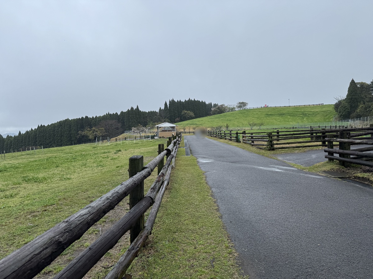 Hitsujigaoka Observation Hill   No-2