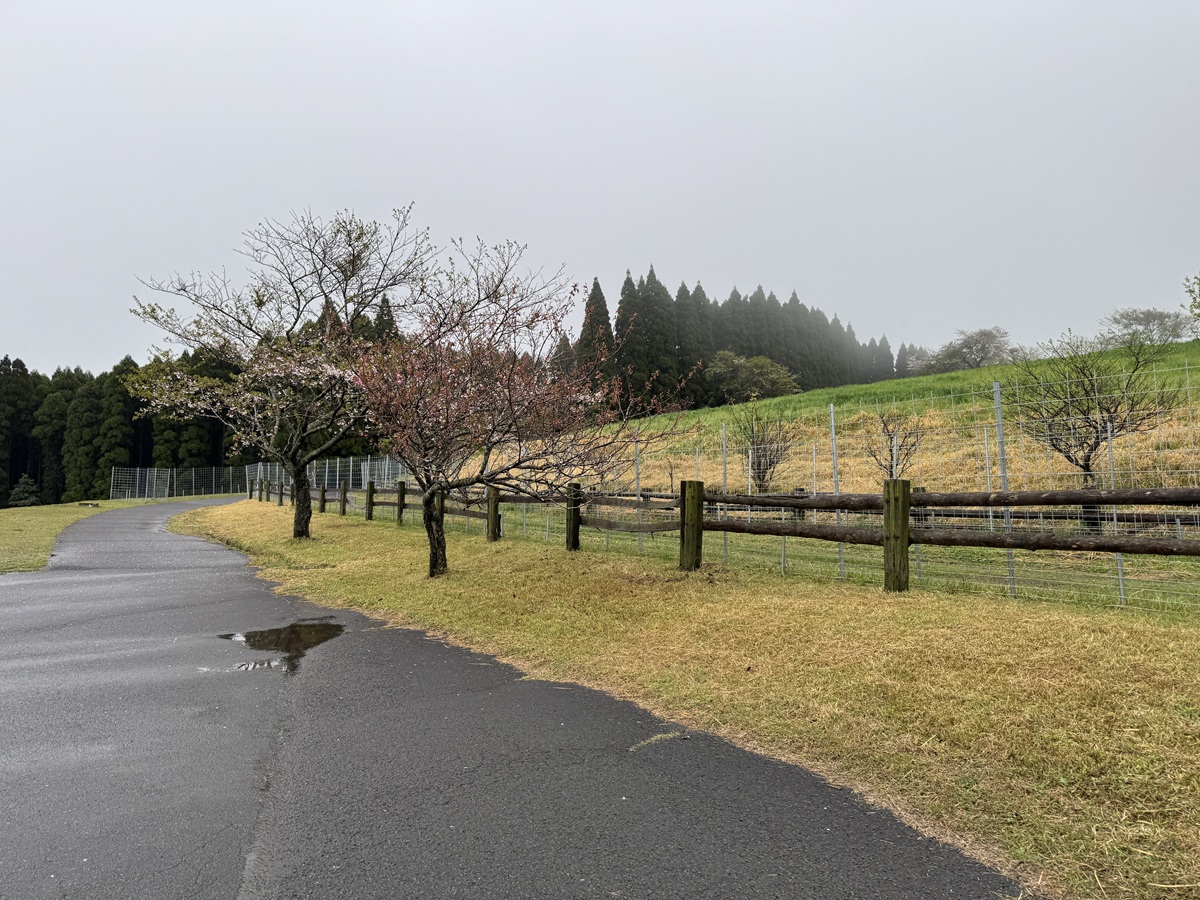 Hitsujigaoka Observation Hill   No-3