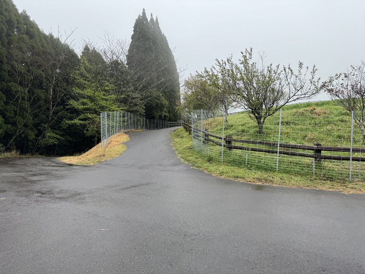 Hitsujigaoka Observation Hill   No-4