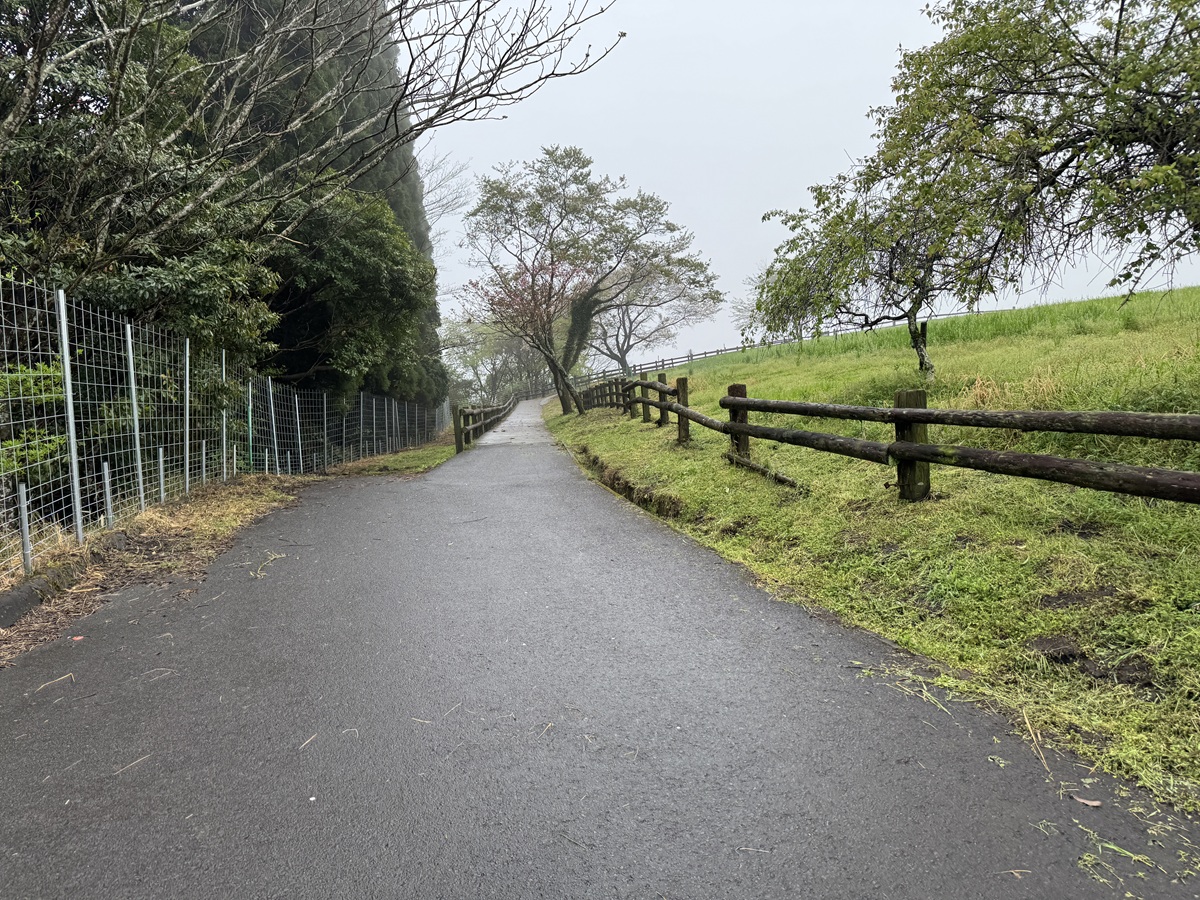 Hitsujigaoka Observation Hill   No-5