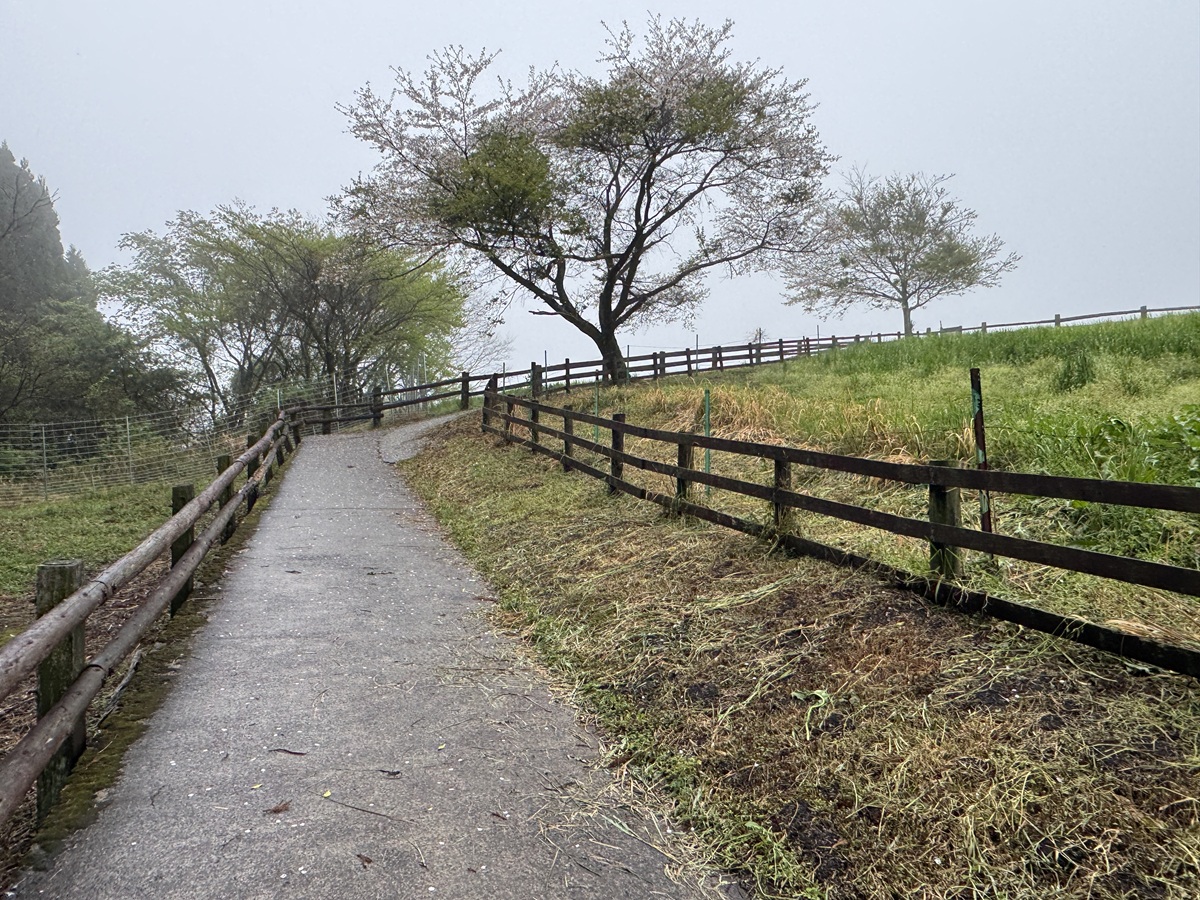 Hitsujigaoka Observation Hill   No-6