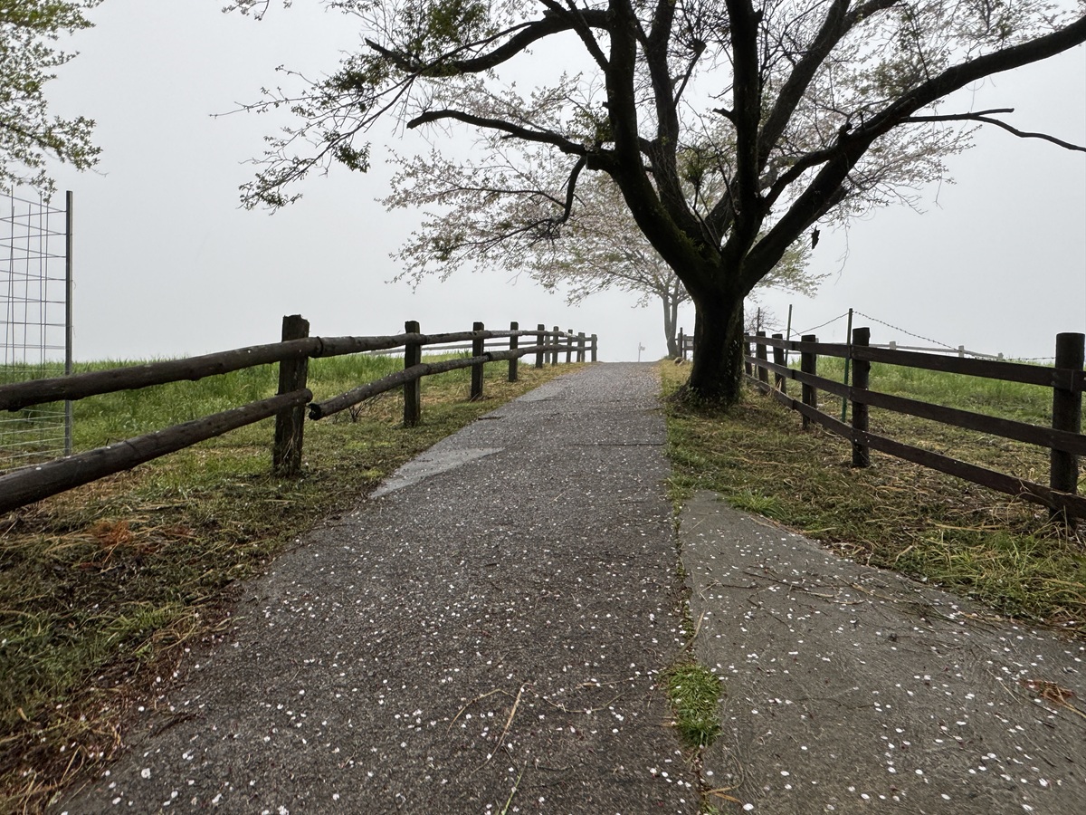Hitsujigaoka Observation Hill   No-7