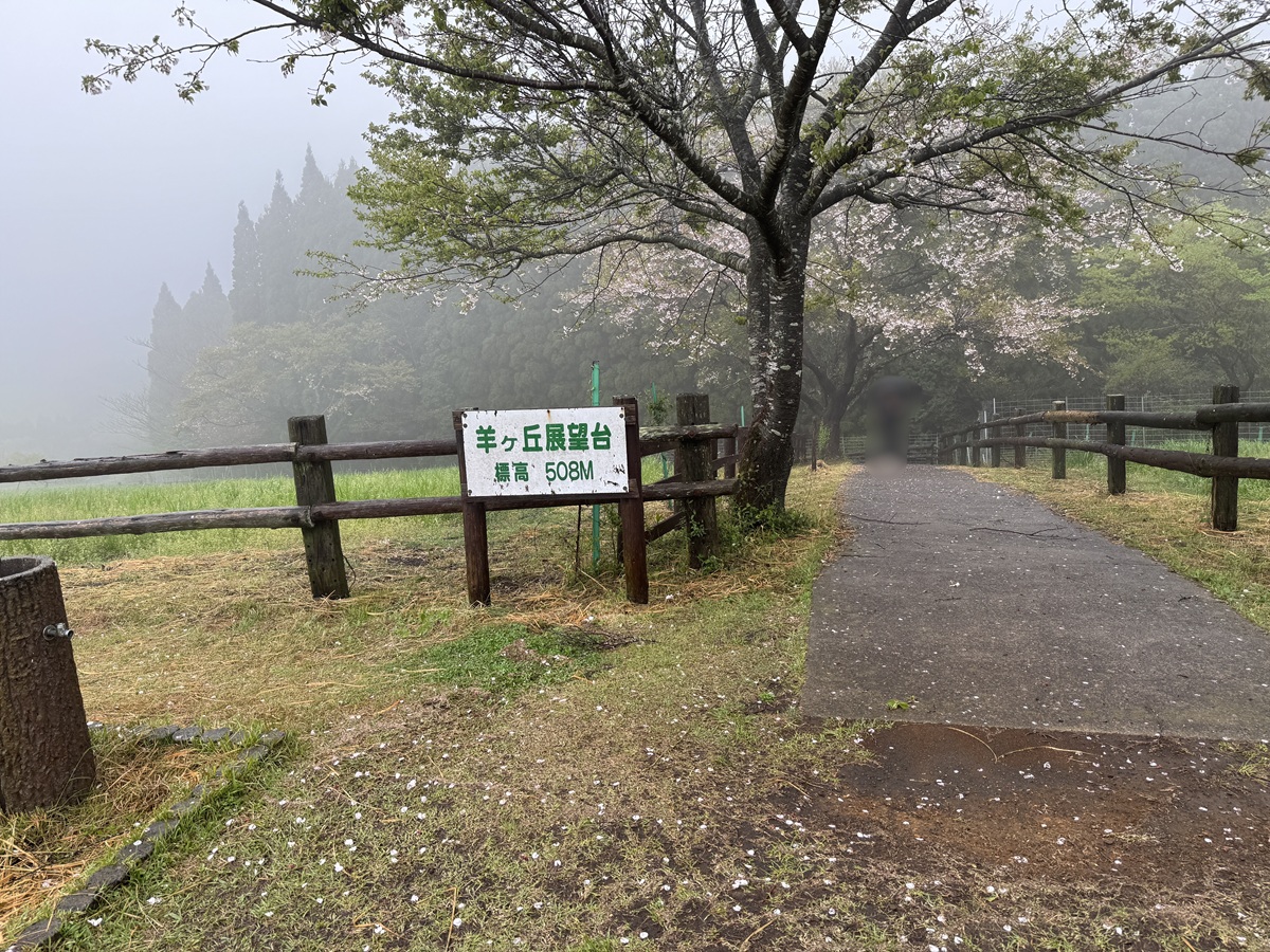 Hitsujigaoka Observation Hill   No-9