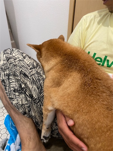 f:id:kotakota1102:20201007150250j:image