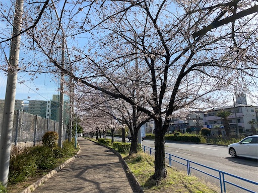 f:id:kotakota1102:20210326192757j:image f:id:kotakota1102:20210326192757j:image