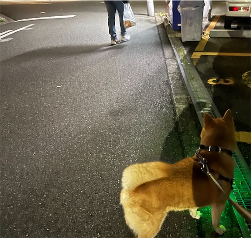 f:id:kotakota1102:20240518101207j:image