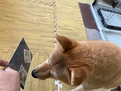 f:id:kotakota1102:20240518103241j:image