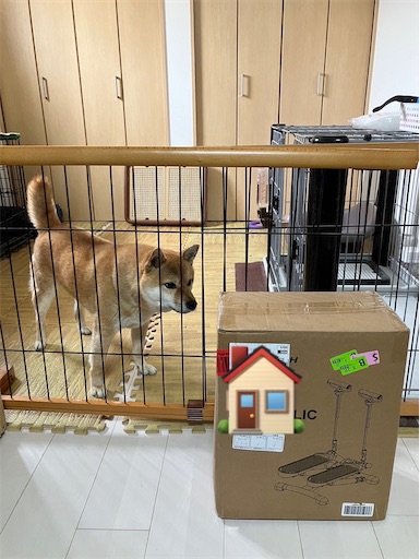 f:id:kotakota1102:20240614004818j:image