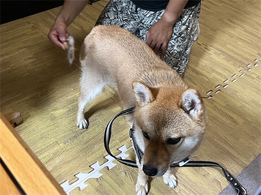 f:id:kotakota1102:20240614005402j:image