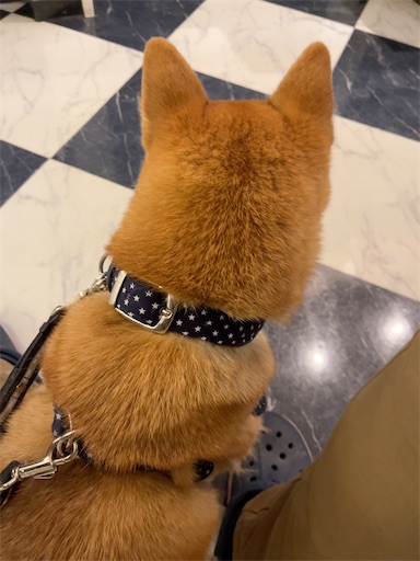 f:id:kotakota1102:20241231152428j:image