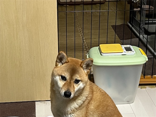 f:id:kotakota1102:20250419181512j:image