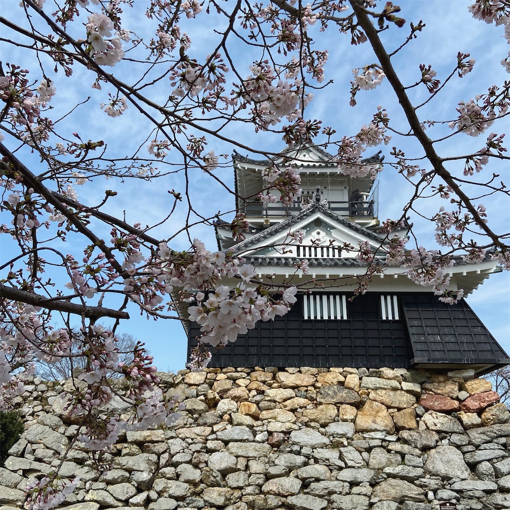 f:id:kotama2015:20210322215759j:image