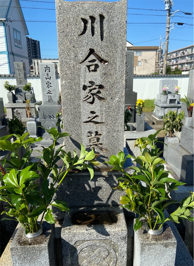 f:id:kotama2015:20231031085316j:image f:id:kotama2015:20231031085316j:image