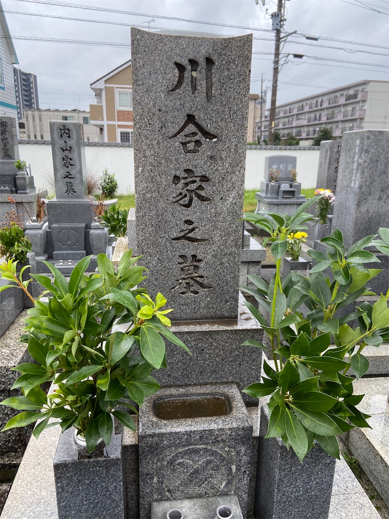 f:id:kotama2015:20231116220806j:image f:id:kotama2015:20231116220806j:image