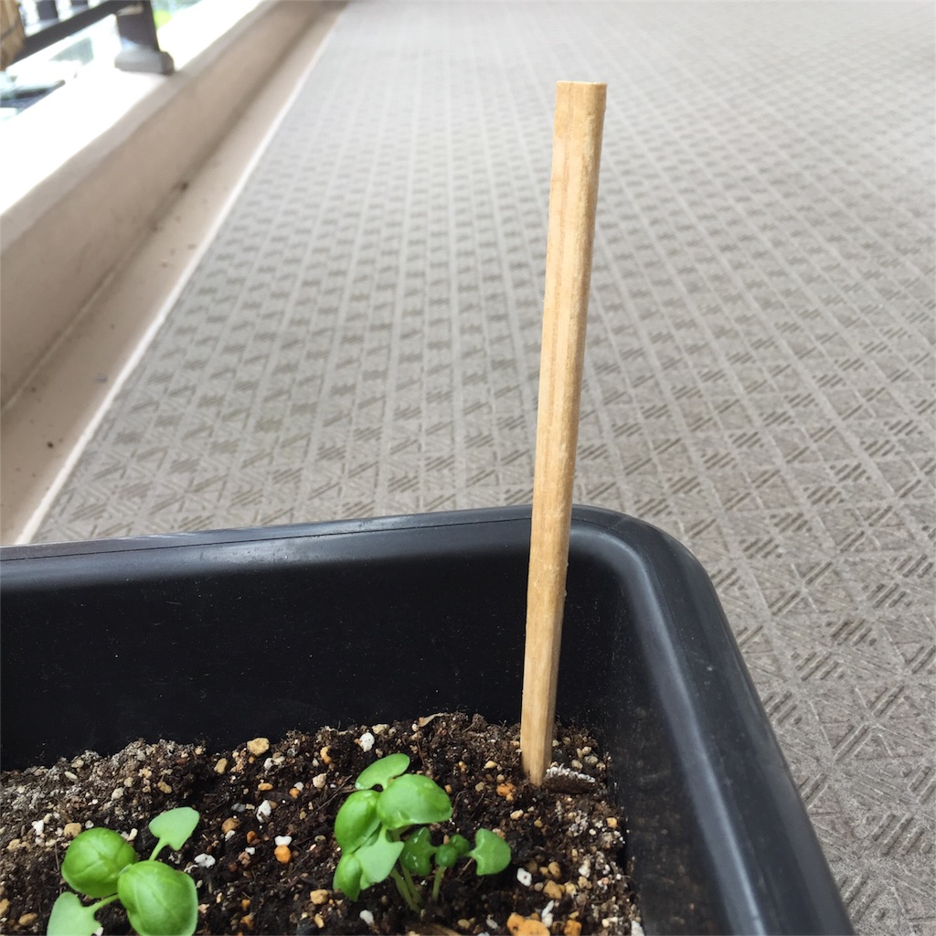 f:id:kotamawo:20180528125605j:image