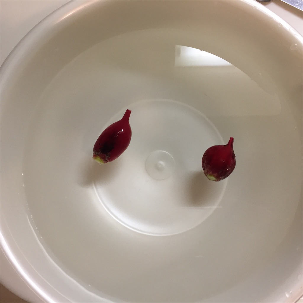 f:id:kotamawo:20180617142310j:image