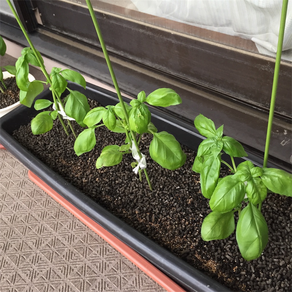 f:id:kotamawo:20180705174822j:image