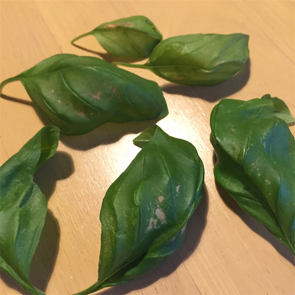 f:id:kotamawo:20180804212847j:image