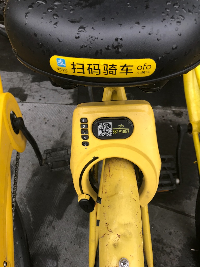f:id:kotanoblog:20180623182511j:image f:id:kotanoblog:20180623182511j:image