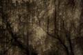 20150404021809