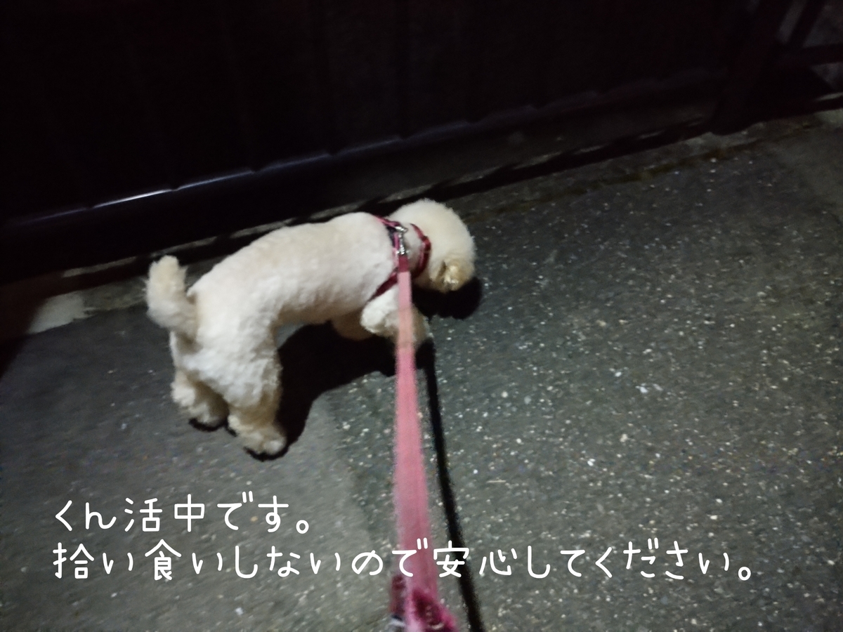 f:id:kotaro-dog:20210804012453j:plain