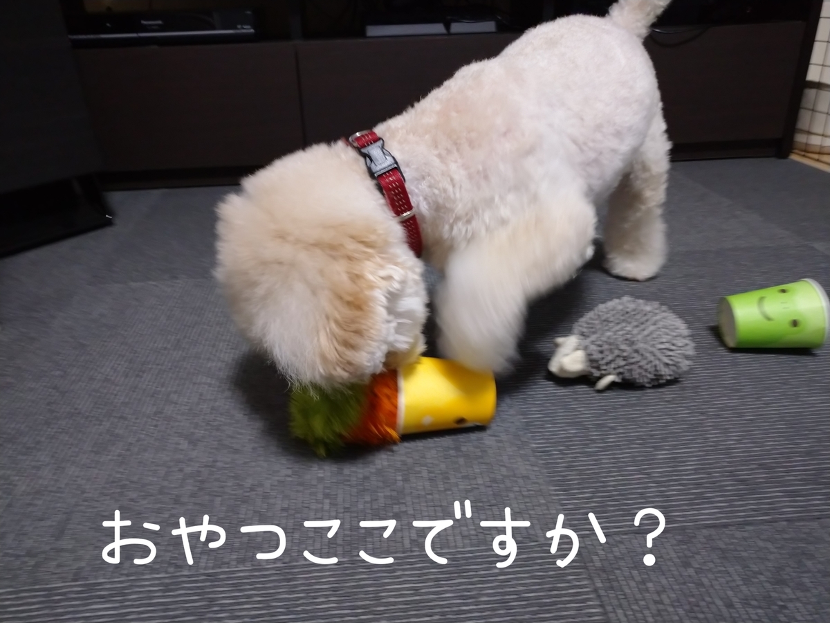 f:id:kotaro-dog:20210806013250j:plain