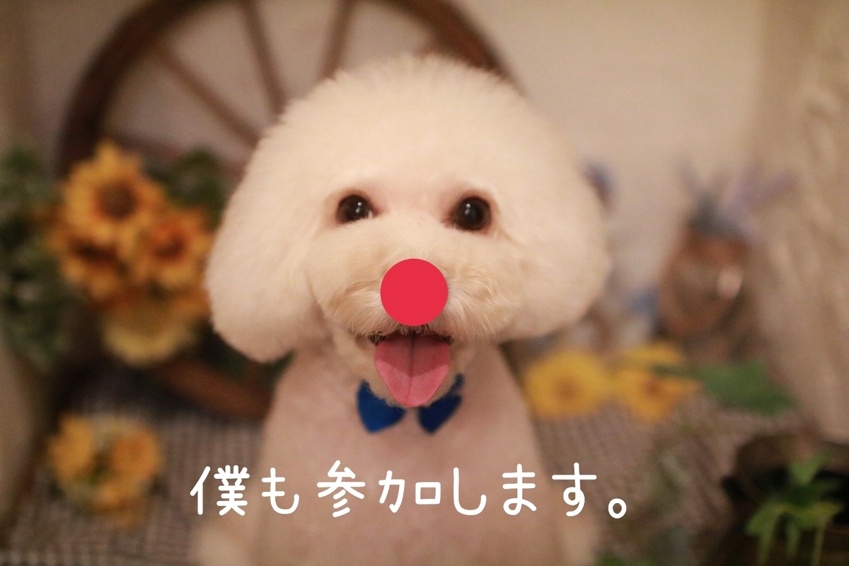 f:id:kotaro-dog:20210822220146j:plain