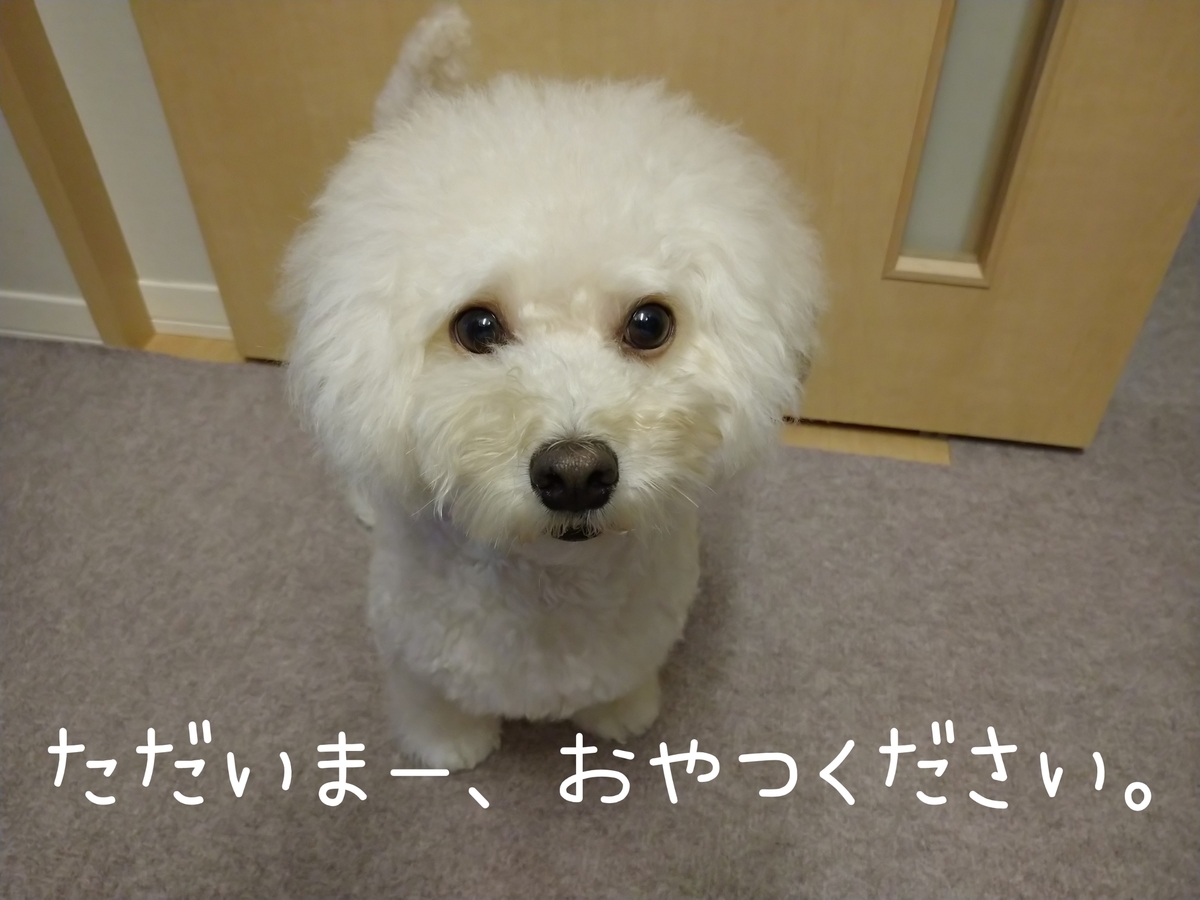 f:id:kotaro-dog:20210904183421j:plain