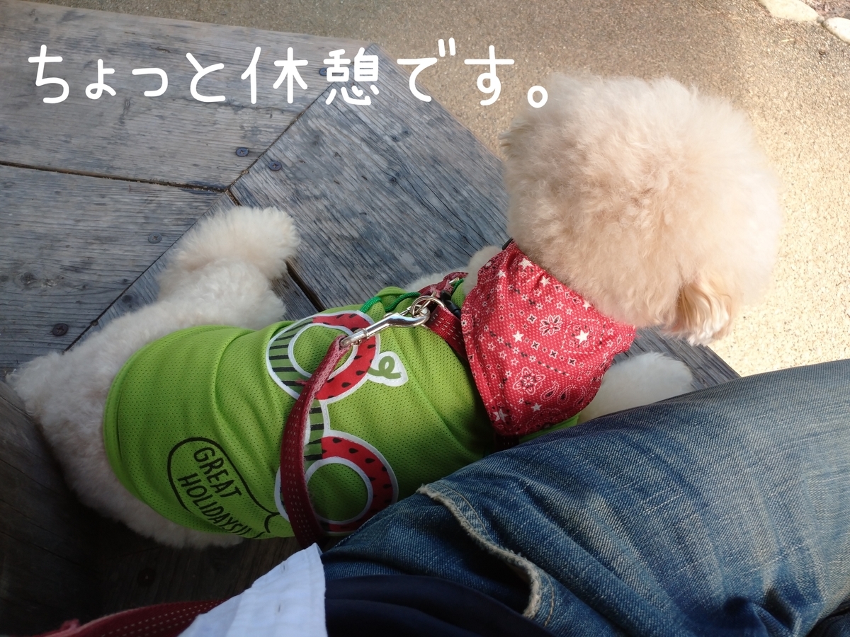 f:id:kotaro-dog:20210905211850j:plain