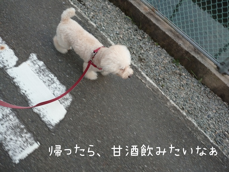 f:id:kotaro-dog:20210918200405j:plain