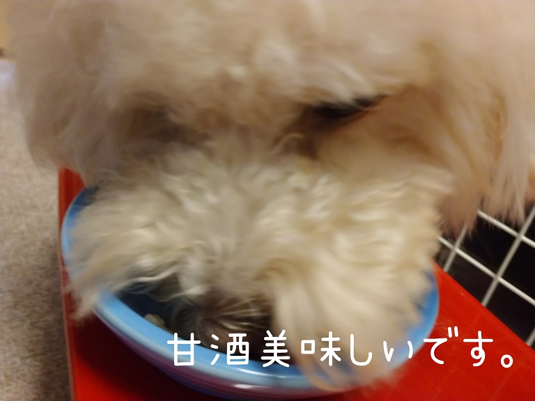 f:id:kotaro-dog:20210918200430j:plain