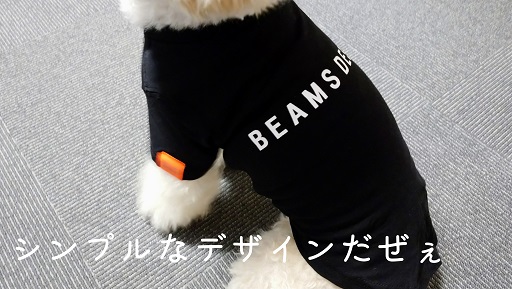 f:id:kotaro-dog:20211103224027j:plain