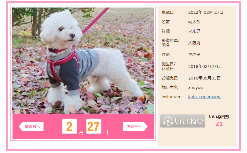 f:id:kotaro-dog:20211120222544p:plain