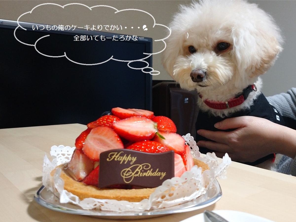 f:id:kotaro-dog:20211214000931j:plain