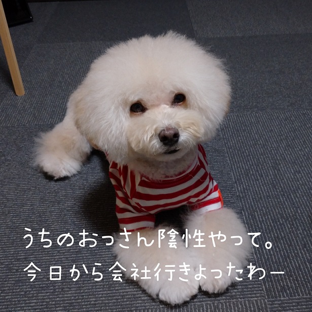 f:id:kotaro-dog:20220128002228j:plain