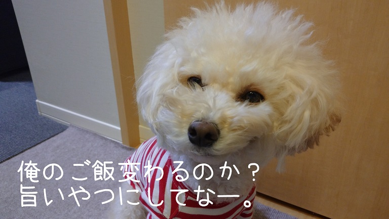 f:id:kotaro-dog:20220205225515j:plain