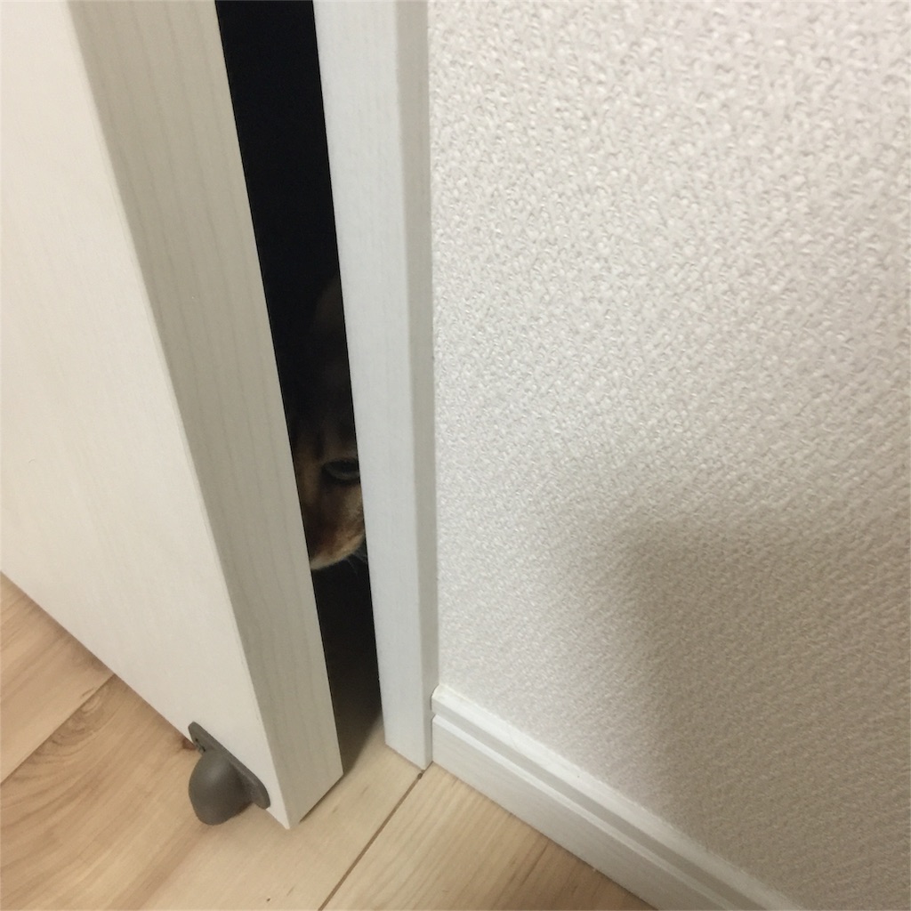 f:id:kotaro-nyan:20161127210735j:image