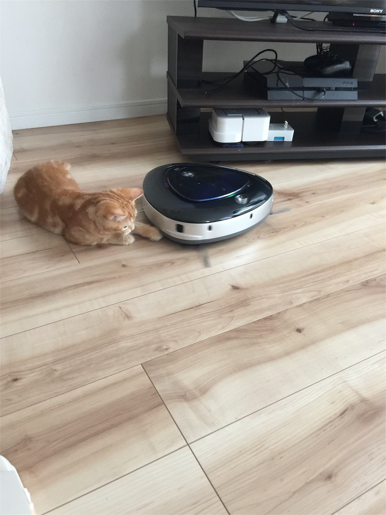 f:id:kotaro-nyan:20170920212213j:image