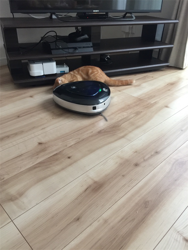 f:id:kotaro-nyan:20170920212256j:image