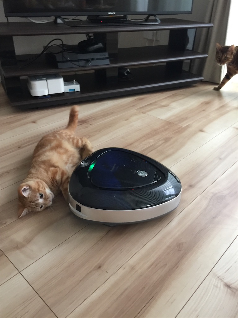 f:id:kotaro-nyan:20170920212354j:image