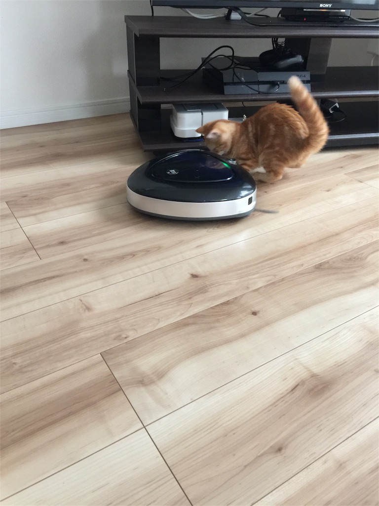 f:id:kotaro-nyan:20170920212410j:image