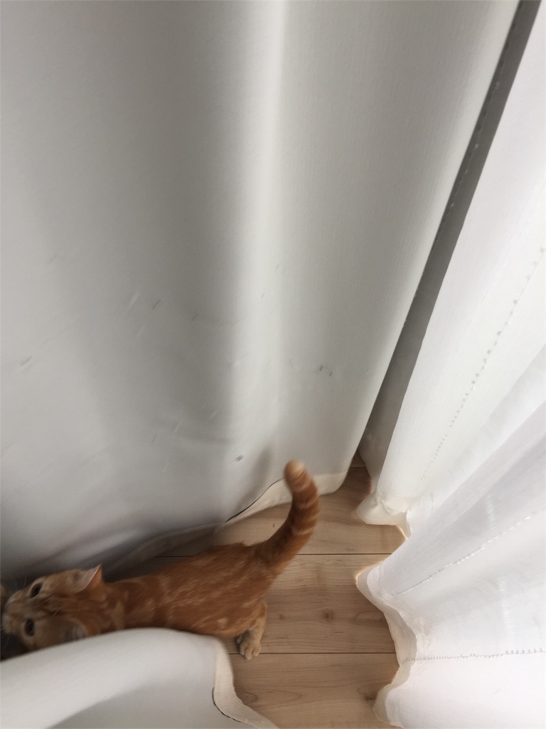 f:id:kotaro-nyan:20170924085504j:image